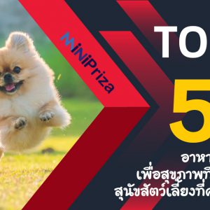 แนะนำ 5 อันดับ อาหารสุนัข เพื่อสุขภาพที่ดีของสุนัขสัตว์เลี้ยงที่คุณรัก