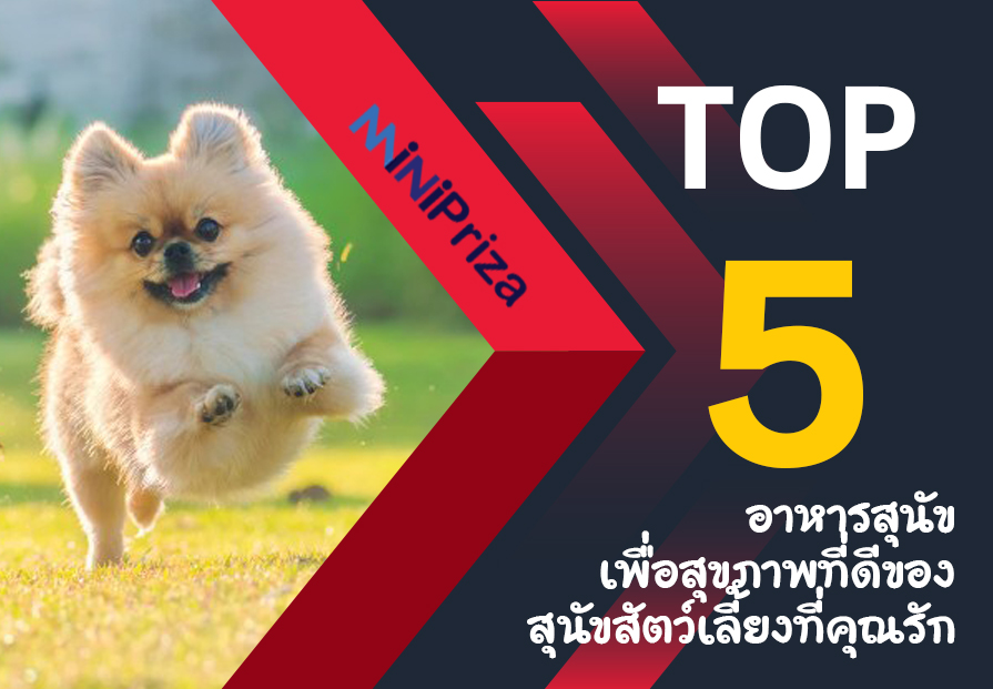 แนะนำ 5 อันดับ อาหารสุนัข เพื่อสุขภาพที่ดีของสุนัขสัตว์เลี้ยงที่คุณรัก