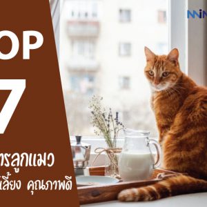 7 อันดับ อาหารลูกแมว เพื่อสัตว์เลี้ยง คุณภาพดี ราคาประหยัด ปี 2021