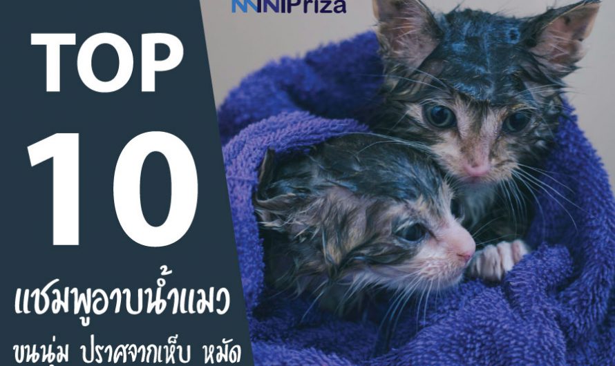 10 อันดับ แชมพูอาบน้ำแมว ยี่ห้อไหนดี ปี 2022