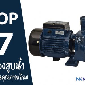 7 อันดับ เครื่องสูบน้ำ ยี่ห้อไหนดี ราคาถูก คุณภาพเยี่ยม ปี 2021