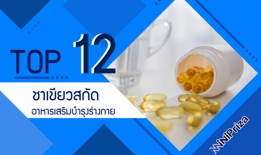 12 อันดับ ชาเขียวสกัด ยี่ห้อไหนดี อาหารเสริมบำรุงร่างกาย ปี 2024