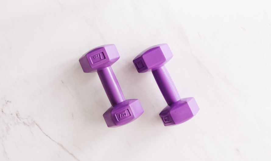 20 ดัมเบล Dumbbell ซื้อที่ไหน ยี่ห้อไหนดี มีลดราคา ปี 2024