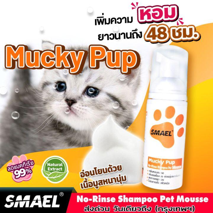 SMAEL Pet มูสโฟมอาบน้ำแห้งแชมพูอาบน้ำแห้งสำหรับสัตว์เลี้ยงและสัตว์เล็ก 60 ml. สูตรอ่อนโยนกลิ่นหอม ขนสวยดับกลิ่นเลียขนด้วยคุณภาพจากสารสกัดดอกคาร์โมมายด์ ปกป้องผิวหนัง ลดอาการคัน สัตว์เลี้ยงขนาดเล็ก แชมพูแห้งแมว แชมพูแห้งสุนัข #S003 #S111 #S112 ^FXA