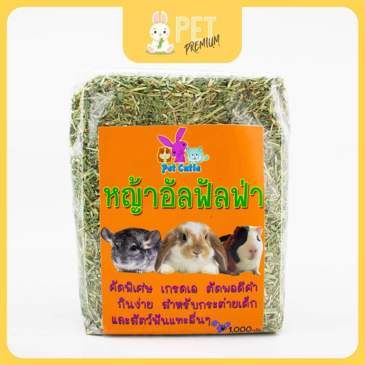 หญ้าอัลฟาฟ่าสับ 1 กิโลกรัม เกรดเอ by pet premium หญ้ากระต่าย หนูแกสบี้ แฮมเสตอร์ เฟอร์เรท ชินชิล่า แพรี่ด๊อก เต่าบก