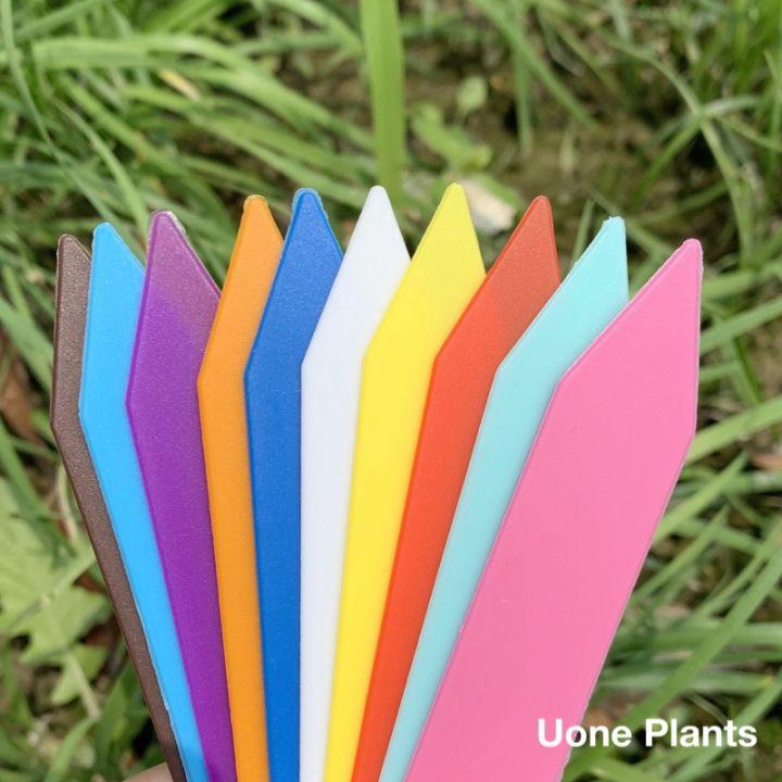 Uone Garden T010A ป้ายแท็กพลาสติก 5x1cm สำหรับตกแต่งสวน 100 ชิ้น เขียนชื่อต้นไม้ที่คุณรัก อุปกรณ์ตกแต่งสวน จัดสวน