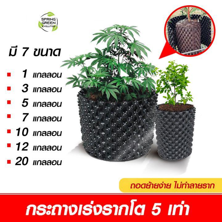 กระถางต้นไม้ Air Pot รุ่น AP มีให้เลือก 7ขนาด วัสดุพลาสติกเกรด HDPE ไม่แตกง่าย หมดปัญหารากเน่า เชื้อรา การันตีคุณภาพจาก SGE (ของแท้จากบริษัท 100%)